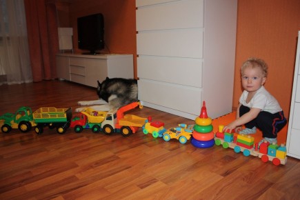 ��� ������� ������� ���������� ���� �������