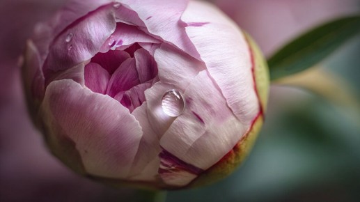 �����������: ���� � ���������� � ����������� �����