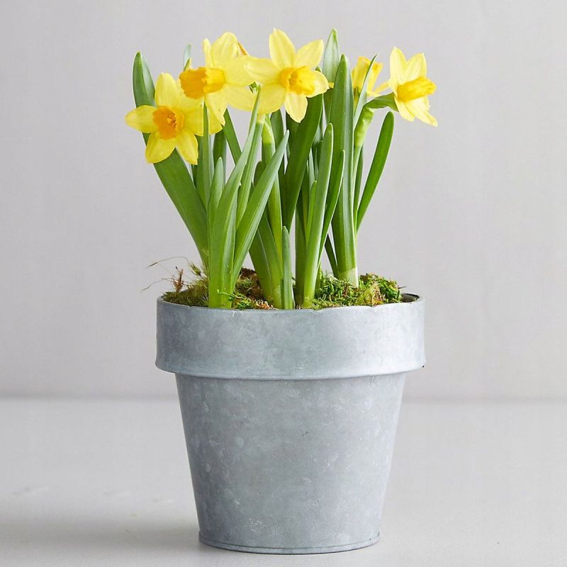 Совершенно случайная любовь