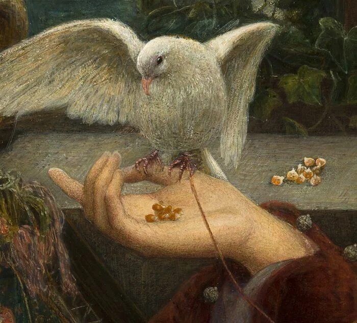 Слияние и любовь: как отличить близость от слияния в отношениях