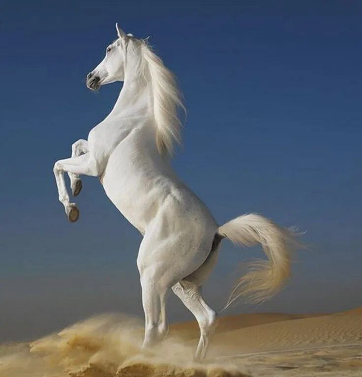 Легкость выбора в повседневной суете и как она меняет настроение