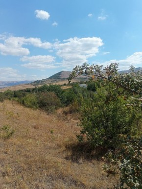 ��� ��������� ����, �������� � ������