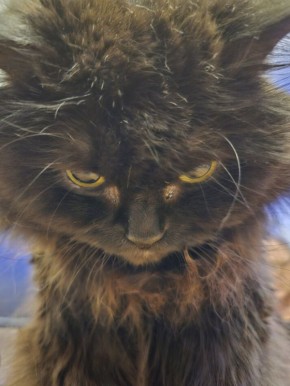 ������ ��������� � �������� ��������� ���� ���������