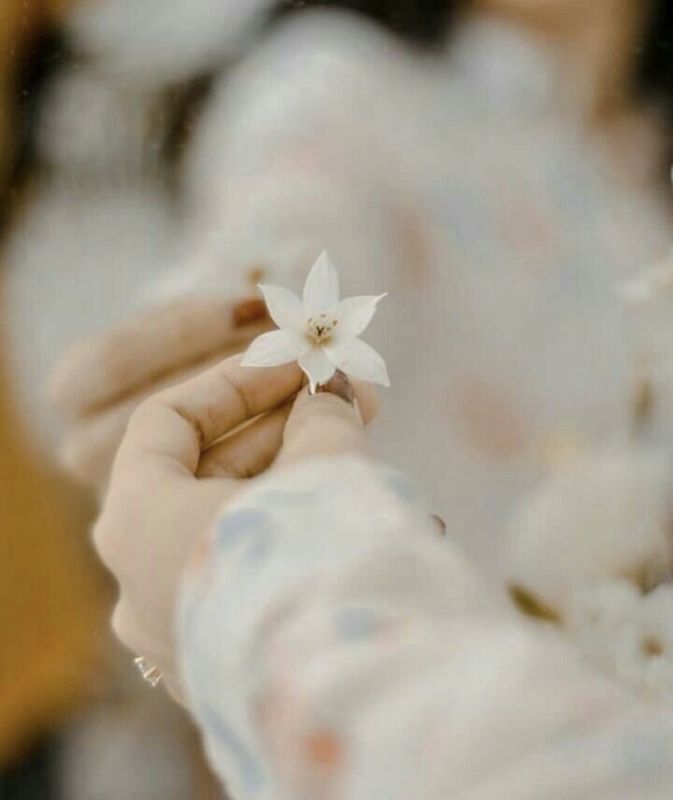 ������� ����� � ����������: ��� ���������� �������� � ������ � ������������