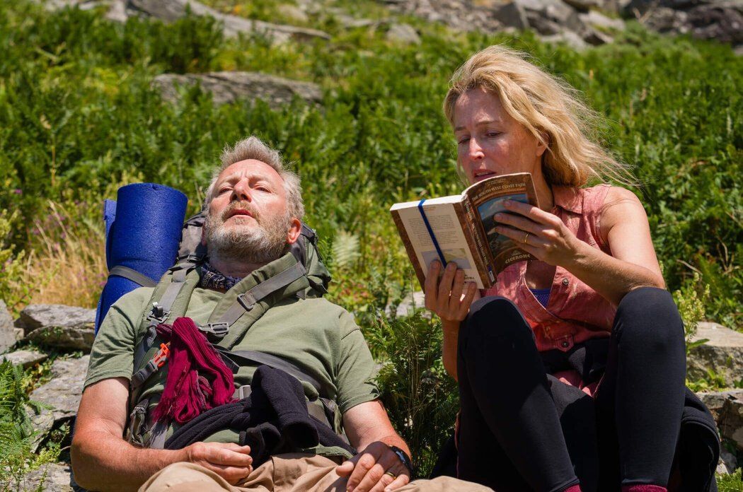 ������ �����: ��� ����� ����������� ������ ���������