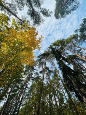 Как научиться любить себя и стать своим лучшим другом