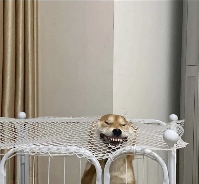 ���������: ������� ����������� ��� ��������� � ��������