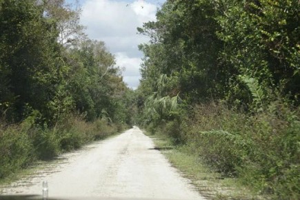 Как сделать первый шаг к самопониманию