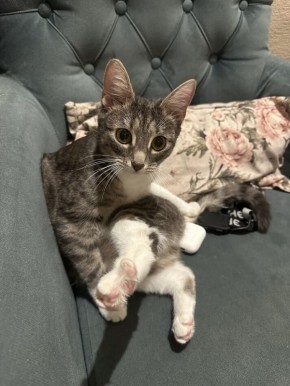 ������ ����� ����� ��������� �� ����� ��������� �����