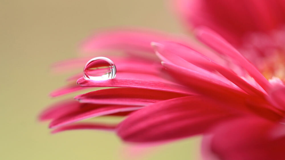 Как женский генитальный ответ обманывает наши ожидания