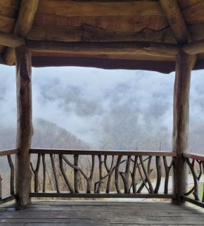 ������ ������������� ����� ��������� ���� ��������� � ��������������