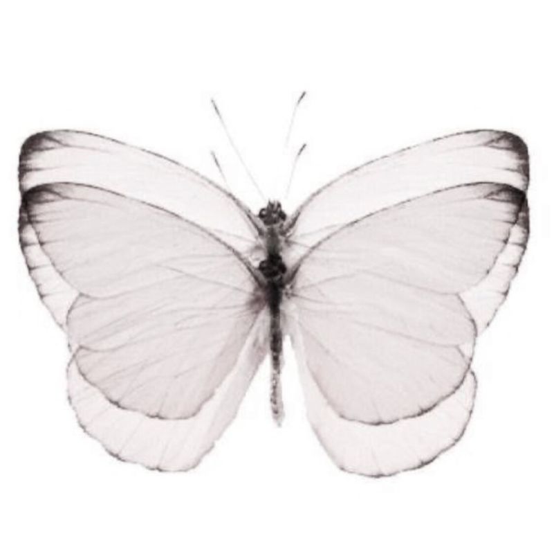 ��� ��������� �������� � ������� �������