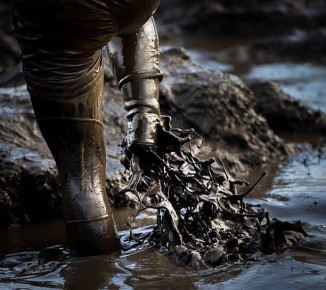 ��� ���������� � ��������� ������������ ������ �� ������