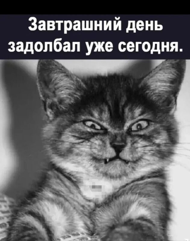 ������: ������������� �������� � ������ ��������