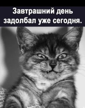 ������: ������������� �������� � ������ ��������