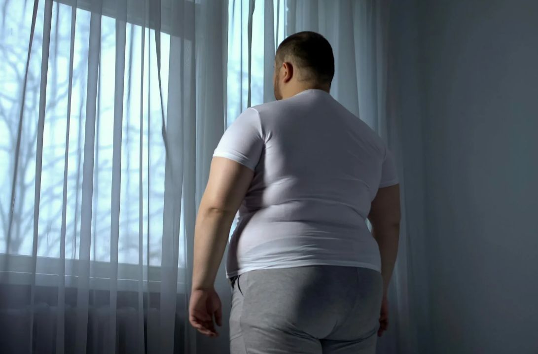 ����� �������� �����������: ������ � ��� �������� �������