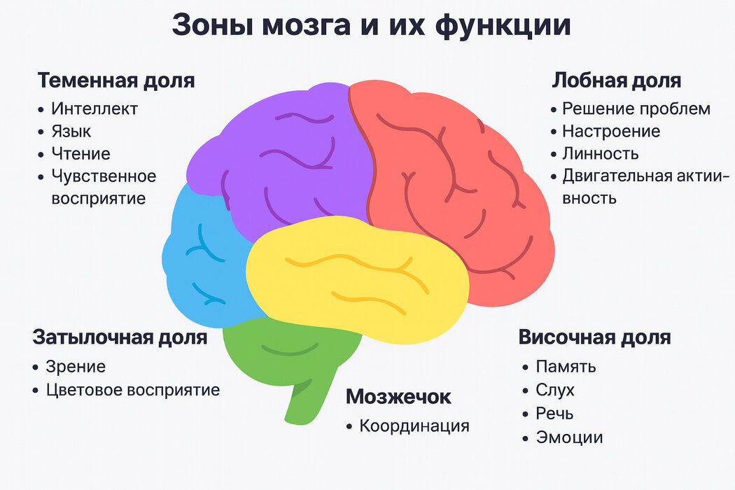 Как отвечать на скептицизм коллег о метафорических картах