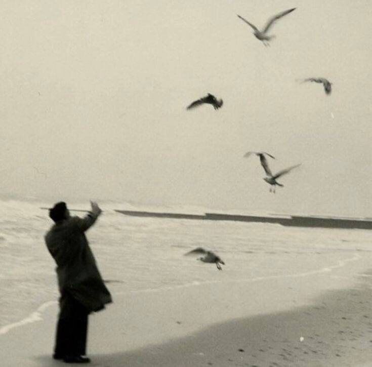 ����������� ��� ���� � ������� � ��������� ��������� ����