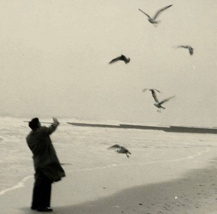 Одиночество как путь к свободе и глубокому пониманию себя