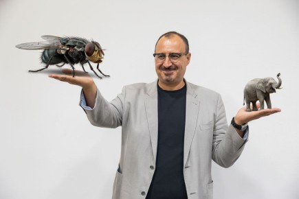 ��� ���������� �����������, �������������� ���� ����������