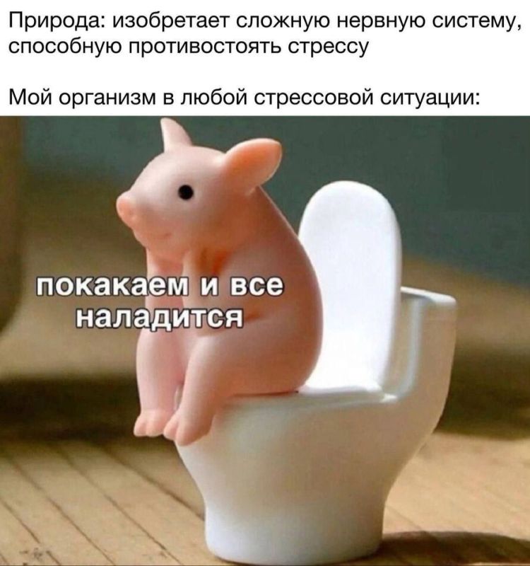 ������� ������������� ���������: ��� ������ ������ �� ��������