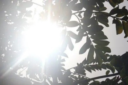 �������� ���������� � ������ �������