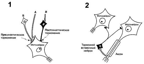 ��� ���� �������� ��� �������� ��� ����
