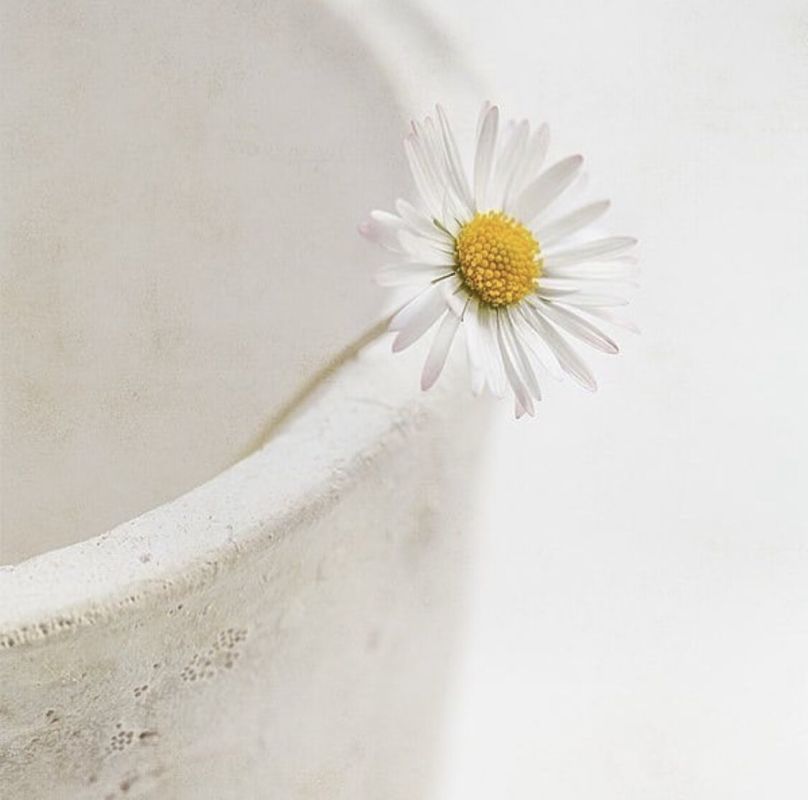 ��� �������� �������� � �����?