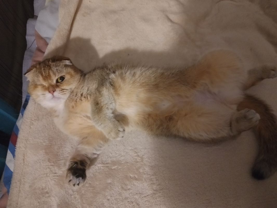 ��������� ����: ���������-����� � ������������ ������