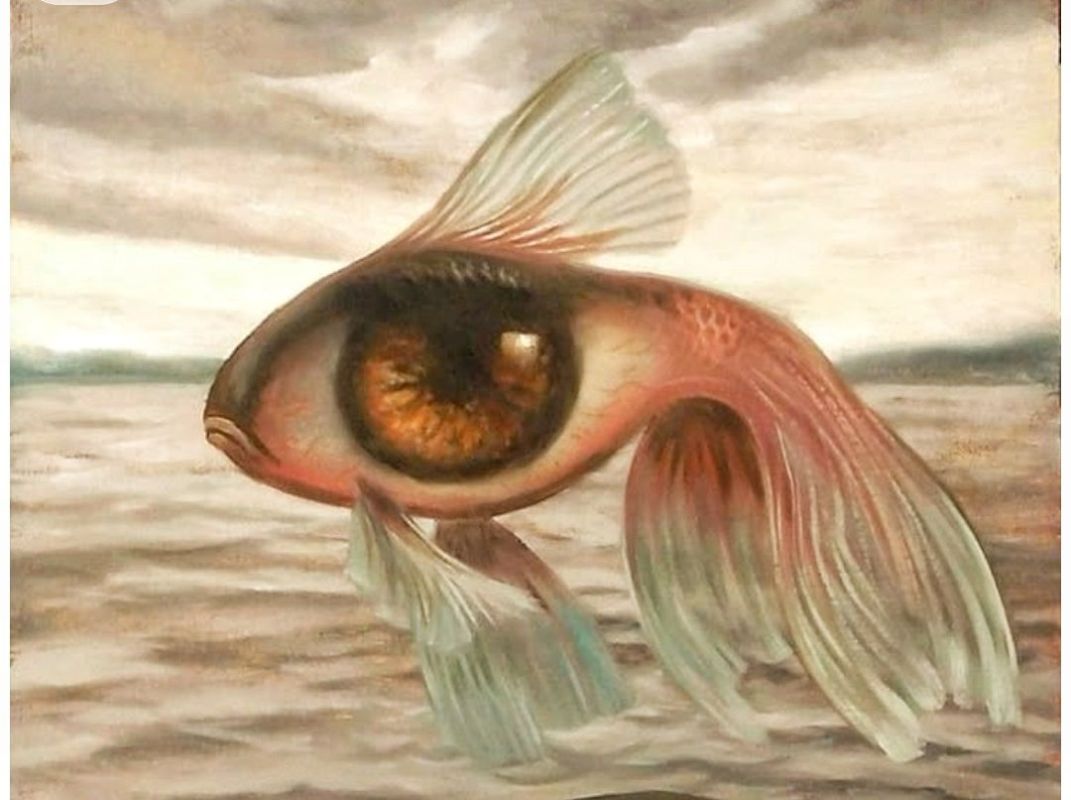 ������� � �����: ��� ����� �� ����� ��������?