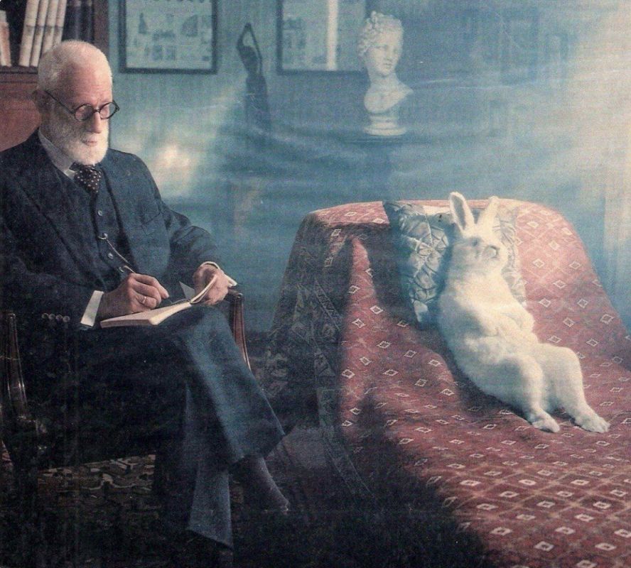 ���� � ���������