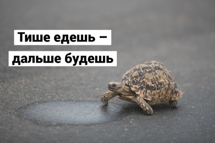 Медленный прогресс: ключ к устойчивому успеху