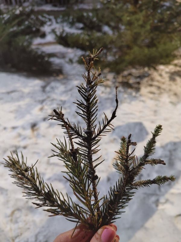 ��� ���������� ����������� ���������� ���� ���������� ����