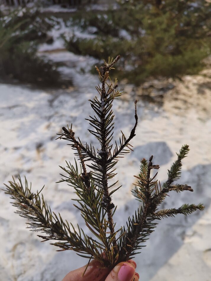 Как личностная тревожность окрашивает наше восприятие мира