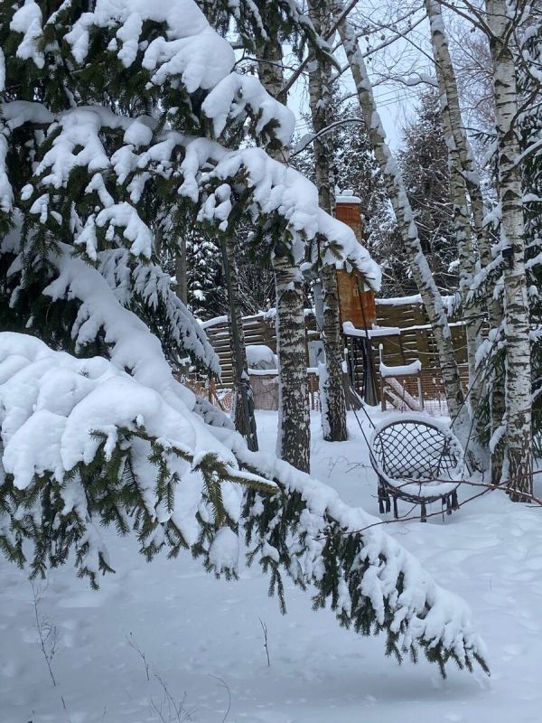 ��� ����� ����������� � ������� ������ ����