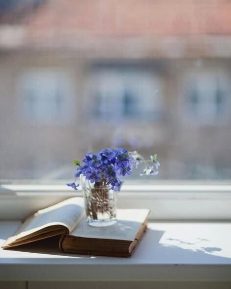 ��� ������ ����������� ���� �����: ��������������� � ���