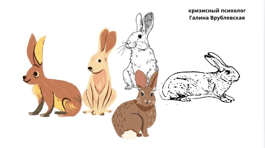 ��� ���������� ����� ������� '���': �������� ������� � ���� �������