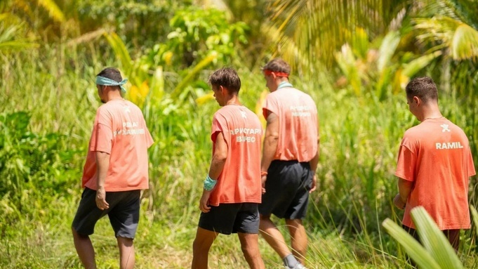 Психология на экране: как телешоу помогают справиться с трудностями