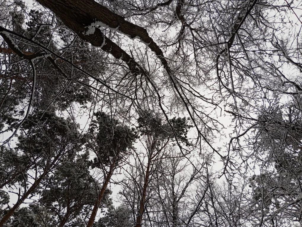 ��� �������� �������������� ��� �������: ��� ������� ����