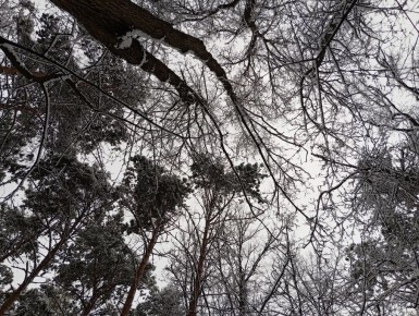 ��� �������� �������������� ��� �������: ��� ������� ����