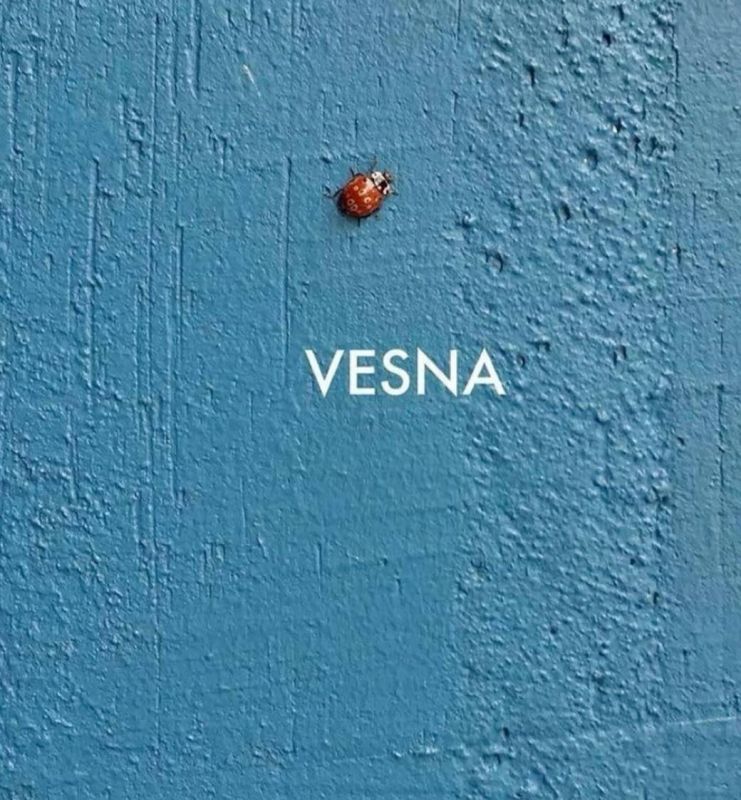 ��������� ��� ���� � ������������ � ����������� ��������������