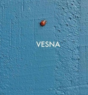 ��������� ��� ���� � ������������ � ����������� ��������������