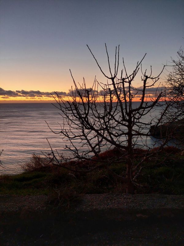 ��� ����� ������� ����� � ��������� ����� � ��������� ��������