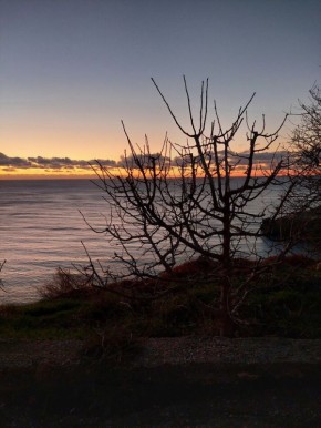 Как стать хорошей мамой и отпустить детей в свободное плавание