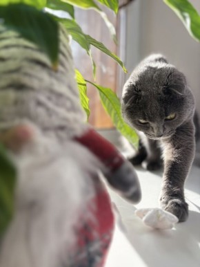 Наследие детских травм: как родительская забота может порождать новые проблемы