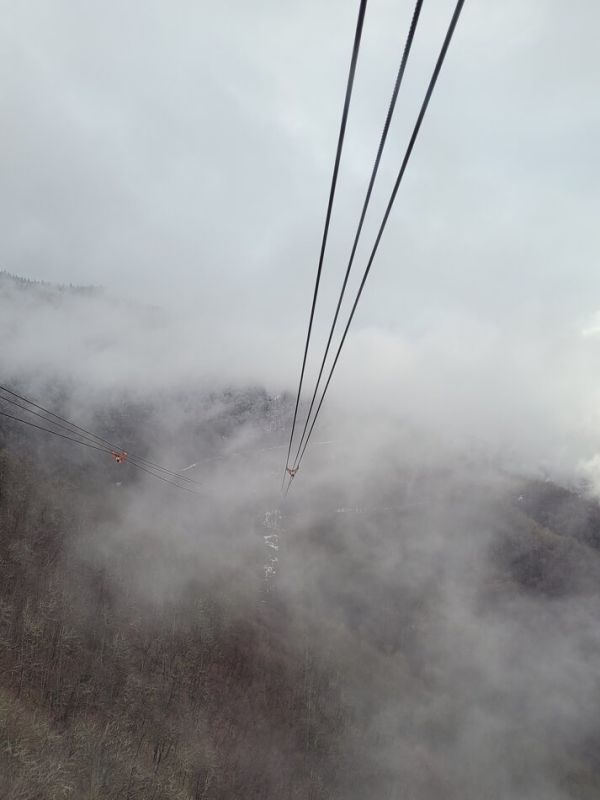 ��� ������������ ��������, �������� �� ������� ����������