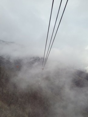 ��� ������������ ��������, �������� �� ������� ����������