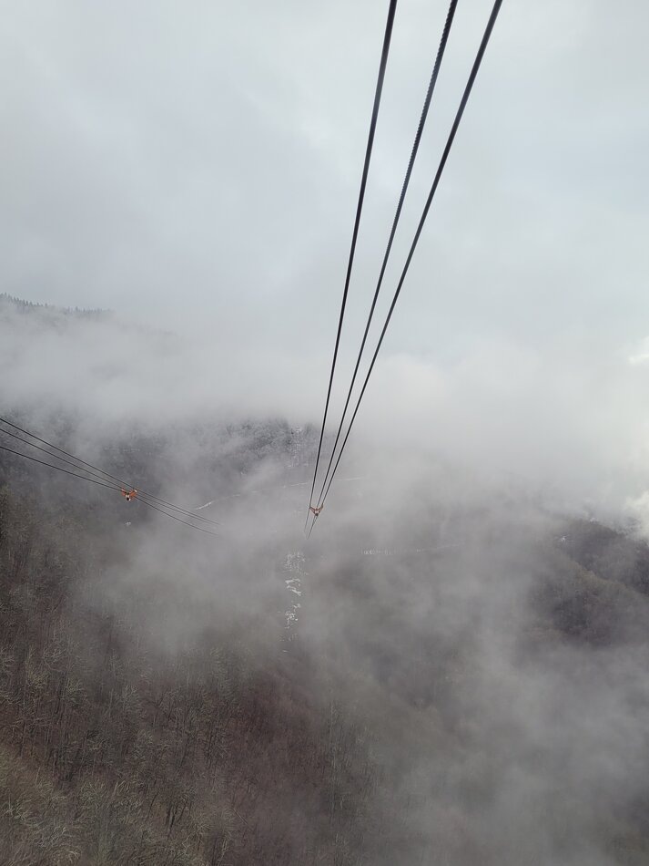 Как психотерапия работает, несмотря на избыток информации