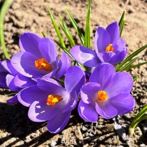 ��� ������������ ����� ��� ������������: ����� ����������� �������