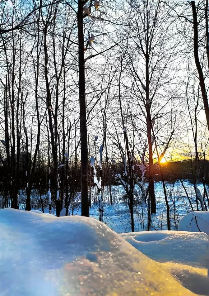 Твоя жизнь — это твой выбор: осознай, кто ты на самом деле
